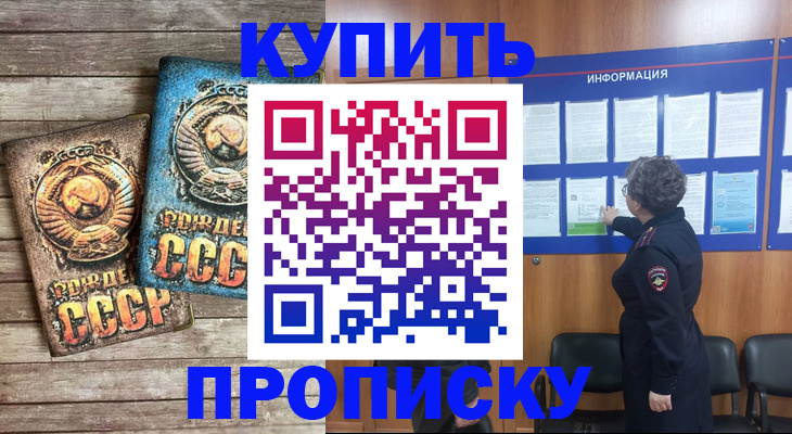 прописка для школы в Апатитах